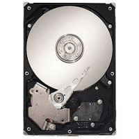 Seagate 500GB Hard Drive (ST3500418AS)